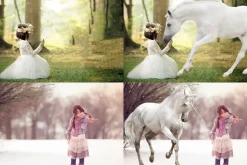 Unicorn Overlay