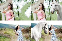 Unicorn Overlay