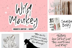 Unique 82in1 Handwritten font