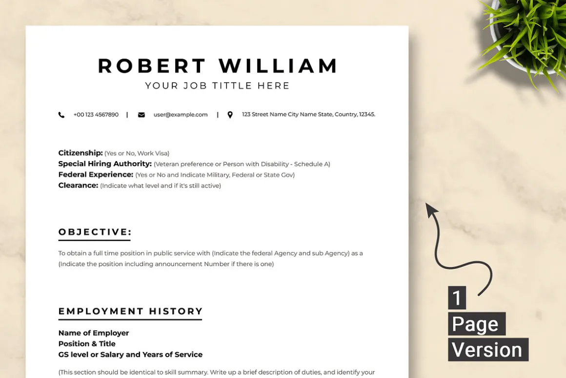 USAJob Resume Template