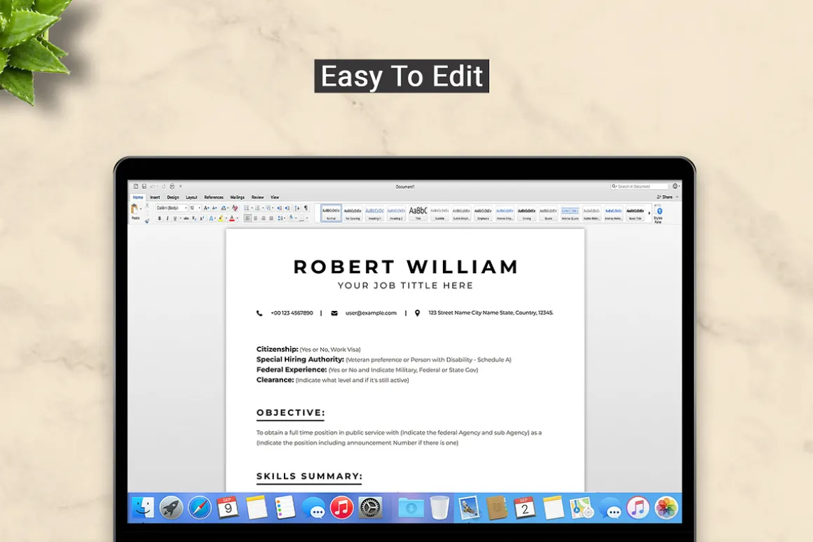 USAJob Resume Template