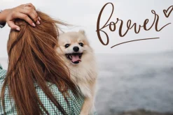 Valentine's Day photo overlays vol.3