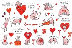 Valentine's Day Sphinx Hairless Cats