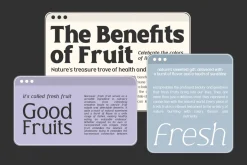 Valty - Variable Classic Typeface