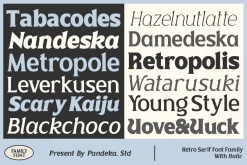 Valty - Variable Classic Typeface
