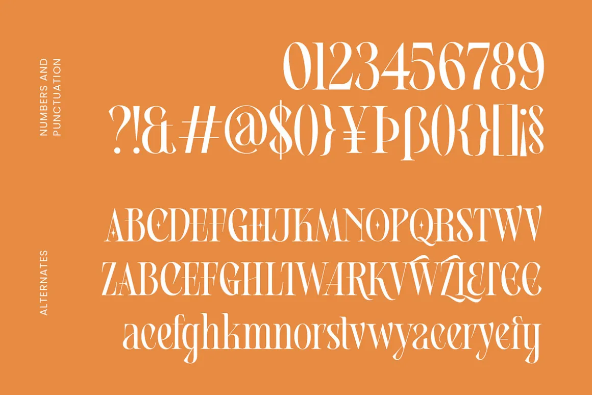 Vamour - Elegant Serif