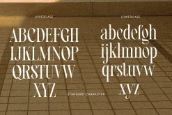 Vamour - Elegant Serif