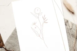 VECTOR MOON SKETCH / illustrations