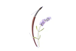Vector object brushes. Lavender