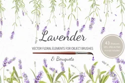Vector object brushes. Lavender