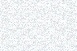 Vector Seamless Pattern Set