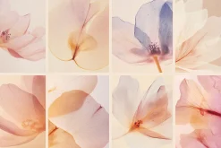 VEIL Flowers Collection