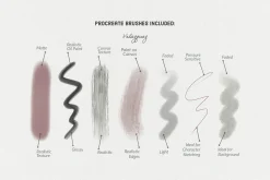 Velazquez's Art Procreate Brushes