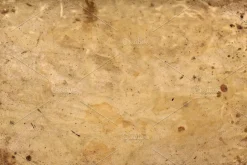 Vellum Textures