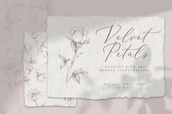 Velvet Petals - Fine Art Florals