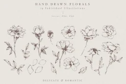 Velvet Petals - Fine Art Florals