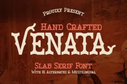Venata | Slab Serif Font