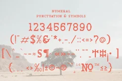 Venata | Slab Serif Font