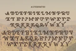 Venata | Slab Serif Font