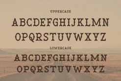 Venata | Slab Serif Font