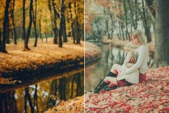 Verde LR and ACR Presets