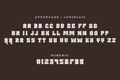 Vibes Bloze - Groovy Font