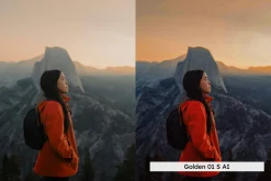 Vibrant and Grainy Lightroom Presets