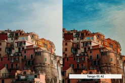 Vibrant and Grainy Lightroom Presets