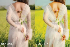15 Vibrant LR Presets, Video Filters