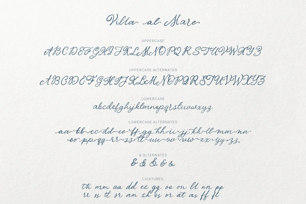 Villa al Mare | Vintage Script Font