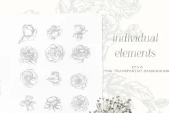 Vintage Roses - Line art Florals