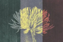 Vintage Album Photo Effects
