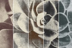 Vintage Album Photo Effects