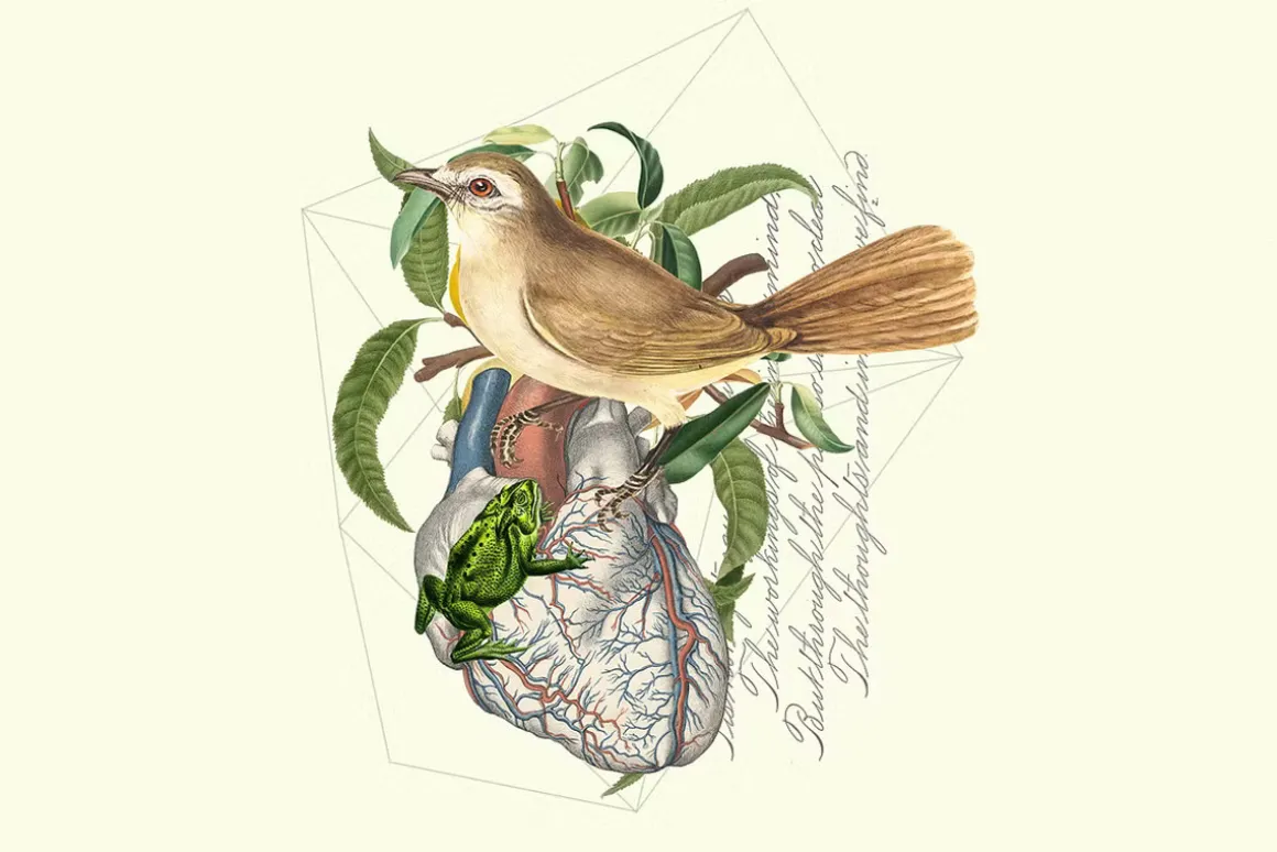 1900+ Vintage Collage Creator Bundle