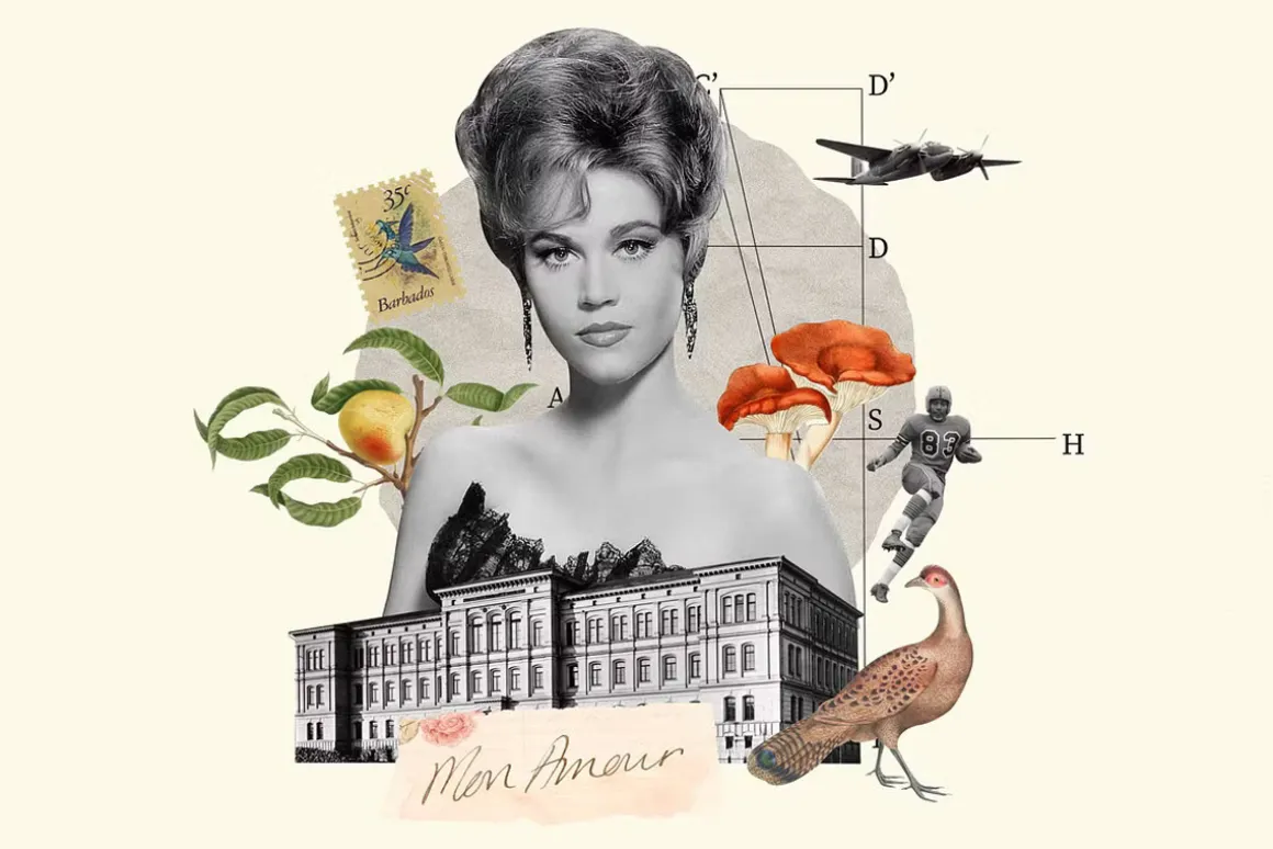 1900+ Vintage Collage Creator Bundle