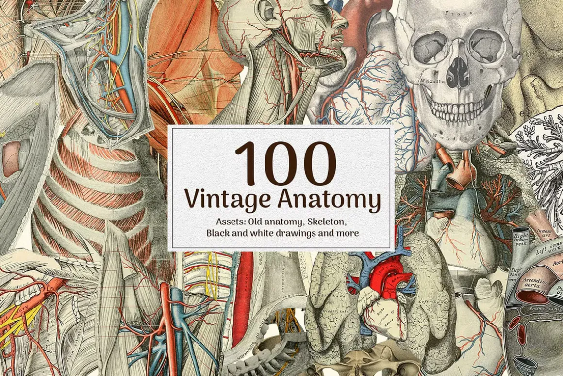 1900+ Vintage Collage Creator Bundle