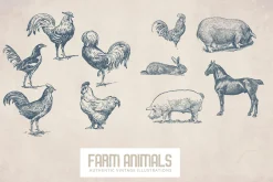 55 Vintage Farm Animals