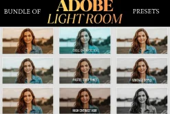 Vintage Film Look 20,000 Presets