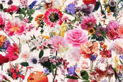 70+ Vintage Floral Cut-Outs