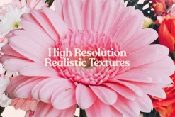 70+ Vintage Floral Cut-Outs