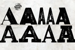 Vintage Fonts Collection - 18 fonts