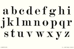 Vintage Hand-Printed Serif Typeface