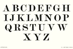Vintage Hand-Printed Serif Typeface