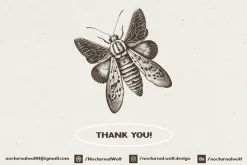 Vintage Insects Illustrations