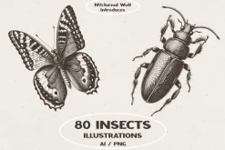 Vintage Insects Illustrations