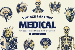 Vintage Medical illustrations