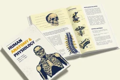 Vintage Medical illustrations