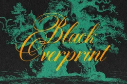 Vintage Overprint Effect