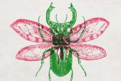 Vintage Overprint Grunge Effect