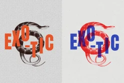Vintage Overprint Photo Effect